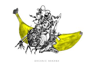 organicbanana-rioda-web